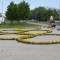 2_Auch_die_Blumen_bluehen_olympisch