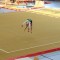 Kinder- und Jugendsportspiele | 11./12.Juni 2016, Pirna | Foto: A. Hasenöhrl