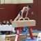 Elchpokal 2014 in Riesa