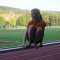 Sportabzeichenwettkampf | 27.08.2015 im Leichtathletikstadion am Kohlberg