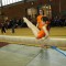 Eiswurmpokal beim SV Felsenkeller Dresden | 24.01.2015 | Foto: Fam. Geppert