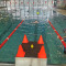 Schwimmfasching 2024