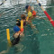 IMG_20240323_104456