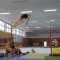 Jugend trainiert für Olympia, Regionalfinale | 01.02.2016 in Riesa | Foto: Carsten Petters