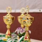 JtfO-Landesfinale in Riesa |  Herdergymnasium Pirna