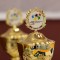 JtfO-Landesfinale in Riesa |  Herdergymnasium Pirna