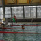 Schwimmfasching7538127