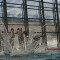 Schwimmfasching795973
