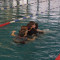 Schwimmfasching859749