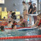Schwimmfasching8717193
