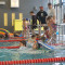 Schwimmfasching8767656