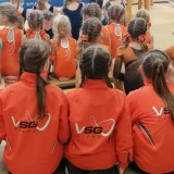 VSG