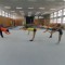 Trainingslager in Riesa | Herbstferien 2015